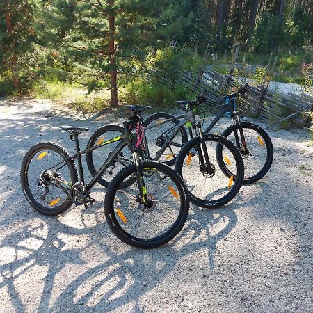 فيلا Aalto Koli Kolinkylä المظهر الخارجي الصورة