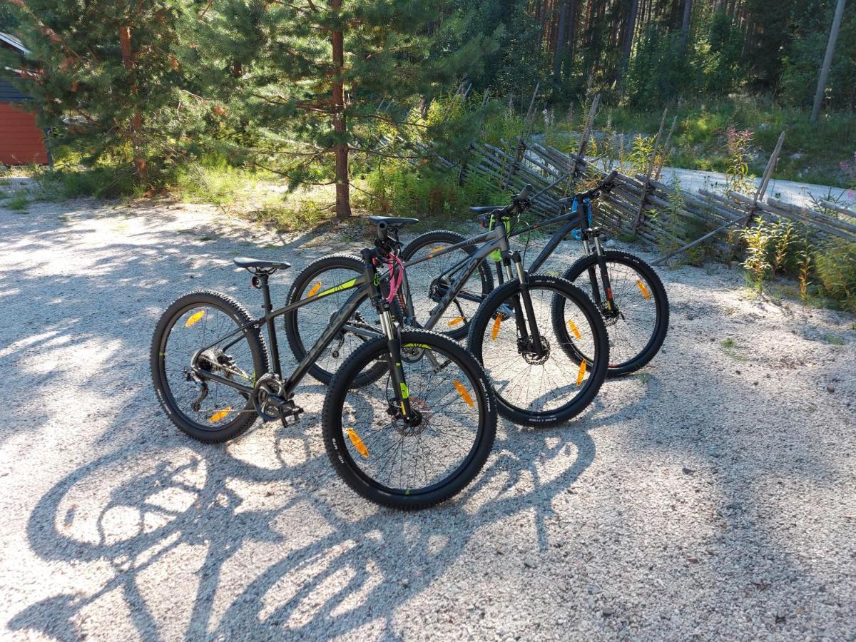 فيلا Aalto Koli Kolinkylä المظهر الخارجي الصورة